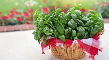 garnishing-instructions-image